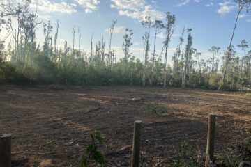 Land Clearing